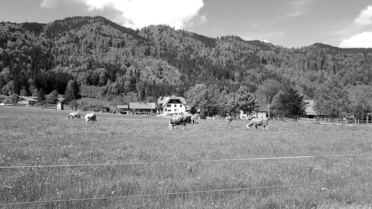 S'Quartier Am Schliersee Esterno foto